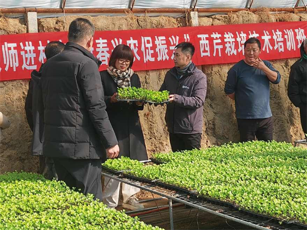 新民市：“數字+標準化”提升，繪就新“豐”景_fororder_楊薇新民2