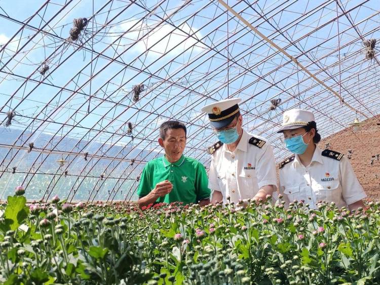 55.1%！遼寧外貿超半壁江山給了“一帶一路”