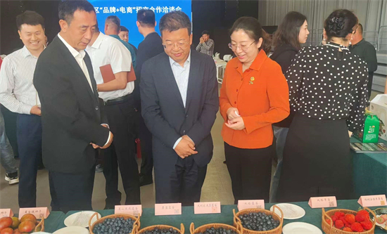 探索産業發展新路徑 大連普蘭店區召開“品牌+電商”招商合作洽談會_fororder_62512e99fd00da5166370fbf66c210f