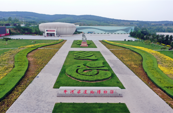 好好聊“遼” | 朝陽：花鳥源頭 馭風逐光