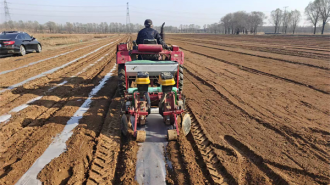 大連普蘭店：百畝“甜”産業 種出“甜”日子