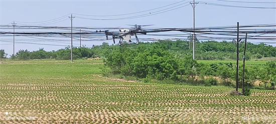 大連普蘭店區:“空中飛鳥”引領集體興業_fororder_普蘭店圖