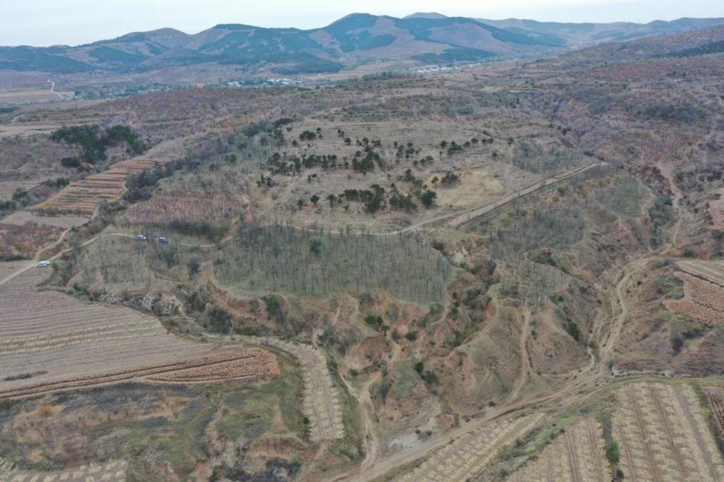 遼寧新發現多處紅山文化遺跡 佐證文明進程