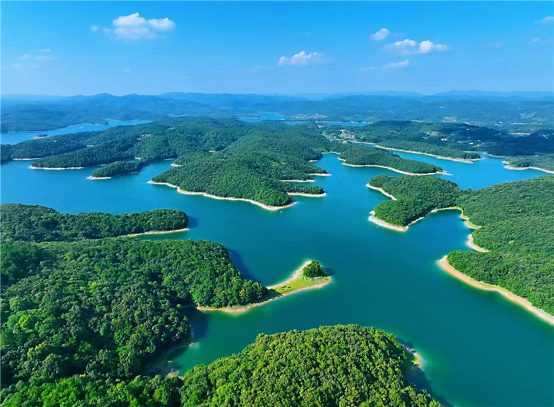 荊門市“漳河保護日”暨金龍泉啤酒水源體驗大會舉行_fororder_887