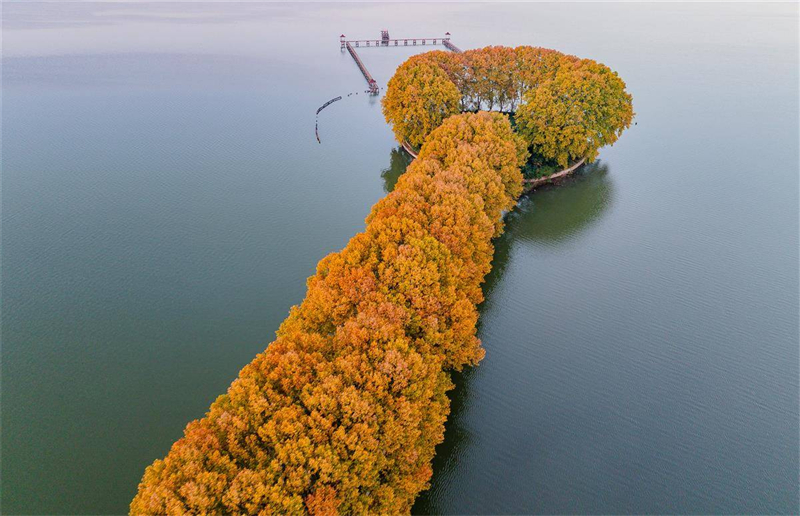 “金鑰匙”打開武漢東湖秋色_fororder_2ab44372e47c4163a59944da6c41fb81