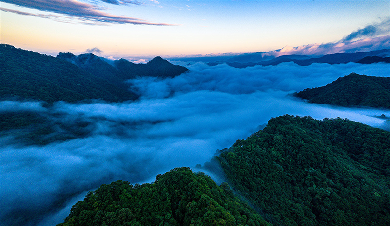 湖北十堰：雲海奔騰入畫來_fororder_LOCAL1761534115676UXH1YC8QJ6