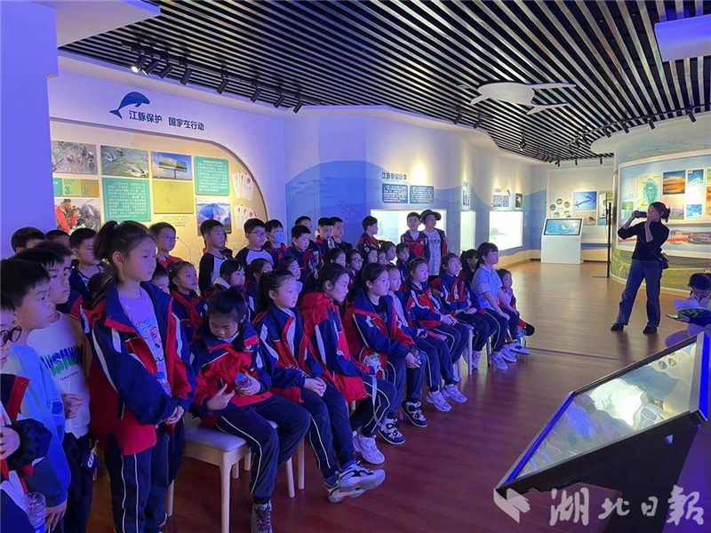 長江天鵝洲白鱀豚保護區春景如畫：白鷺翩飛 江豚戲水_fororder_03