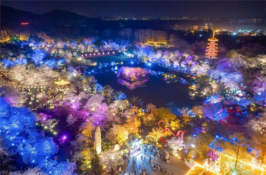 比白天更美！武漢東湖夜櫻璀璨引客醉_fororder_微信圖片_20250327094901
