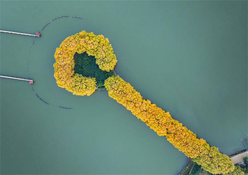 “金鑰匙”打開武漢東湖秋色_fororder_2ef67ff320414b69a37d2c38010ccdb9