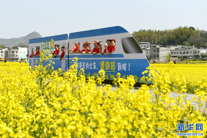 湖北通城：油菜花“點燃”鄉村旅遊熱_fororder_20250325119e87e0f6bc4466905cd46c18151b1e_20250324069647ab324f4e1fa00a13ccb59e1eba