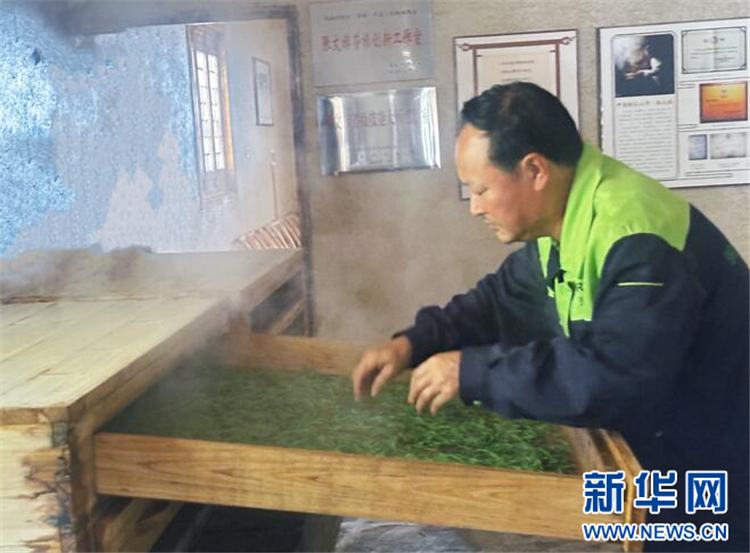 地理標誌賦能鄂西茶産業:一片葉子的産業覺醒_fororder_202505076ad0770477424162953884984b2cd360_2025050763264e9663c44ce3852e5867a19d9d10