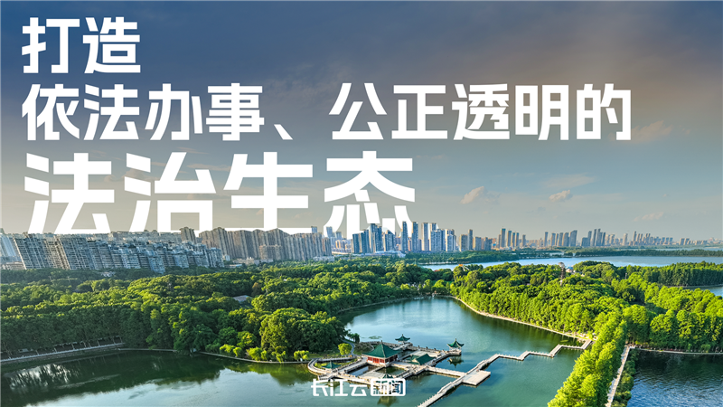 優化營商環境 湖北要打造這五大生態！_fororder_a622184a4b229631b6b6421284775677