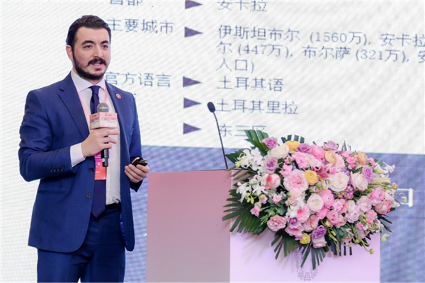 中國（湖北）-“一帶一路”國家（地區）項目合作對接會舉行_fororder_圖片31