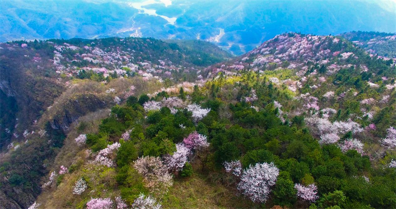 湖北陽新入選文旅部“花期鄉遇”主題 鄉村旅遊精品線路_fororder_圖片18