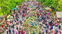 現場火爆！“武漢都市圈”花展開幕