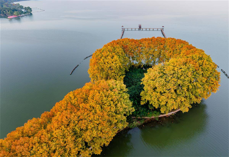 “金鑰匙”打開武漢東湖秋色_fororder_85b78729bb06414383fc819c8d061151