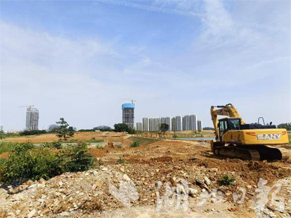 武漢“南大門” 有片 “會呼吸” 的綠地_fororder_054e1bdec4184ebf9074fdd9d89387a7