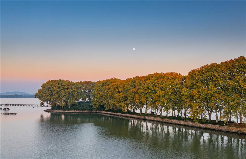“金鑰匙”打開武漢東湖秋色_fororder_b5a3ec8c12d446f8b29ff85caaea85e7