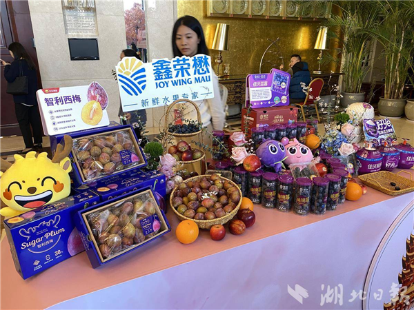1900余億+！海內外嘉賓搶投湖北_fororder_微信圖片_20250321094906