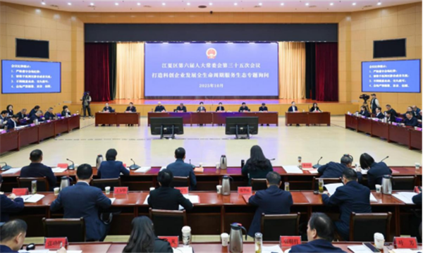 江夏區人大常委會聚焦科創企業全週期需求 專題詢問破服務痛點_fororder_圖片49