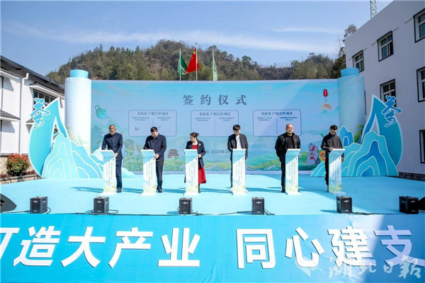 恩施玉露茶商大會舉行 恩施市獲評“蒸青茶傳承保護核心區”_fororder_ae1c09acda2643f6999e6baaa242658b