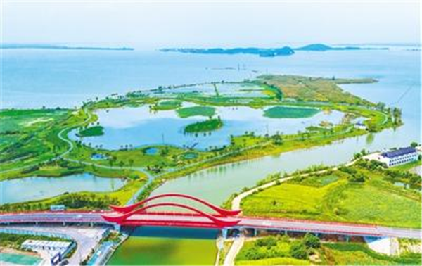 武漢都市圈五家法院攥指成拳共護梁子湖