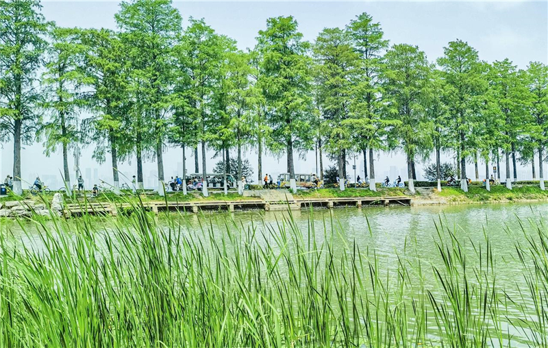 全國最長“翡翠項鍊” 外國人打“飛的”來看_fororder_9ef86cfd652f4a78b1eae61e26c874c0