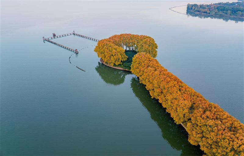 “金鑰匙”打開武漢東湖秋色_fororder_d8d006d136b7401b97b68d12c1aa9154