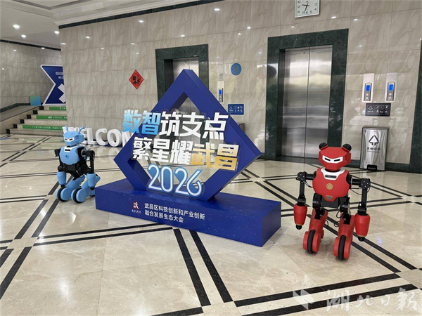 每年投入億元資金髮展AI 武昌加碼打造“數智之城”