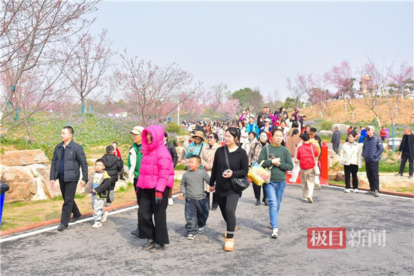 武漢長江新區濕地櫻花園盛大開園 “四水模式”賦能生態文旅_fororder_cbceb0e7bb1d4d6395778d6657534de8