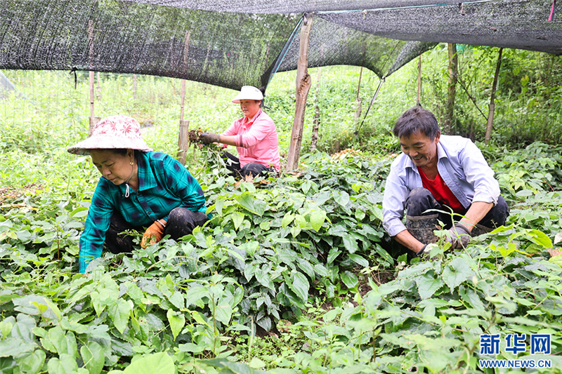 村裏來了工作隊 “窮山窩”成了和美鄉村_fororder_20250723fc0b616e2a66457eb7a8391e442e2171_20250723f635aa2f3aac4abfaa85223103a69d78