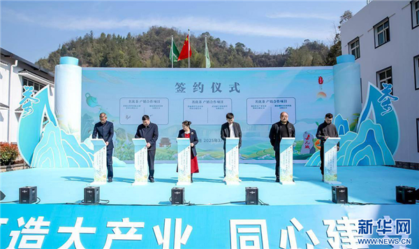 湖北恩施市獲評“蒸青茶傳承保護核心區”_fororder_2025033063e32958a0de47d6a44c5ce924fb04e0_2025033069e5cbc59ae24880b70987cc4bbadf2f