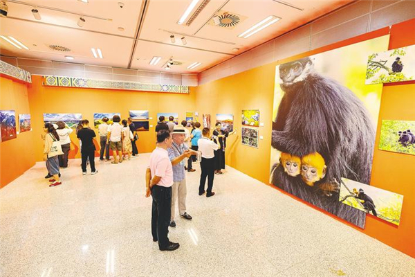 用影像勾勒新時代長江精神圖譜 “影動長江”全國主題攝影大展揭幕_fororder_微信圖片_2025-09-17_093913_835