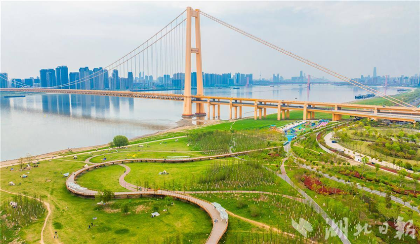 江灘披新綠 岸線綠蔥蘢_fororder_微信圖片_20250408092744