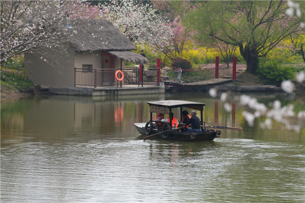 2025年湖北省油菜花節在荊門沙洋開幕_fororder_4
