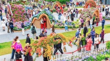 現場火爆！“武漢都市圈”花展開幕