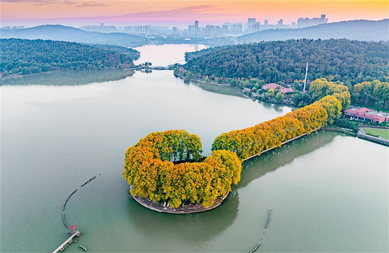 “金鑰匙”打開武漢東湖秋色_fororder_90325cfb25014ac781990377fff25f95