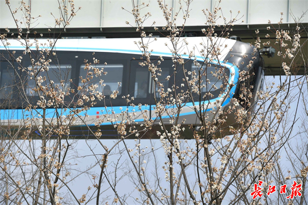 圖片默認標題_fororder_b4315a55cf1a9648fc3b29303e4fe06c