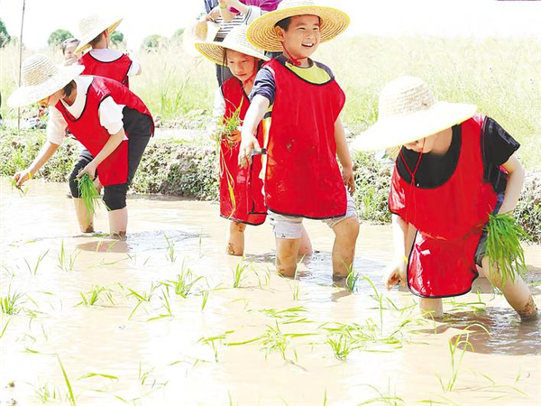 從“獨唱”到“合唱” 鄂州峒山村打造中國式鄉愁發展樣板_fororder_微信圖片_20250827092918