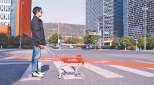 哈工大研製智慧導盲犬 能智慧避障 語音交換_fororder_ee6bdcf5-df26-4ce3-b50c-0b91b564a2dc.768x438.750x427