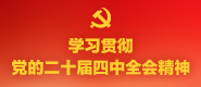 學習貫徹黨的二十屆四中全會精神_fororder_x學習貫徹黨的二十屆四中全會精神-185x80