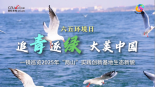 六五環境日 | 追青逐綠 大美中國_fororder_0605六五環境日封面1000-564