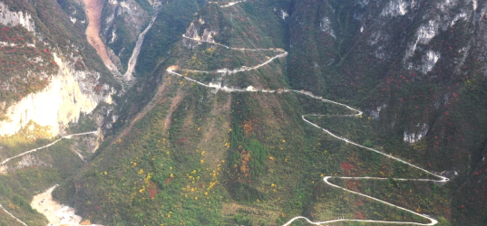 重慶巫山“好品”出山記：鄉村振興的特色“密碼”