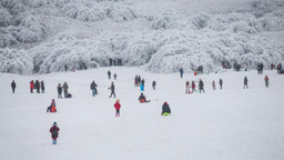 重慶仙女山雪景“返場” 持武隆旅遊通行卡暢享限時福利