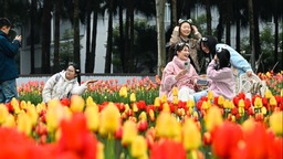 又到春花爛漫時｜10萬株鬱金香“上線” 到重慶動物園享春光