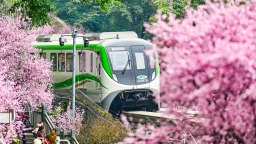 重慶：“開往春天的列車”如約而至
