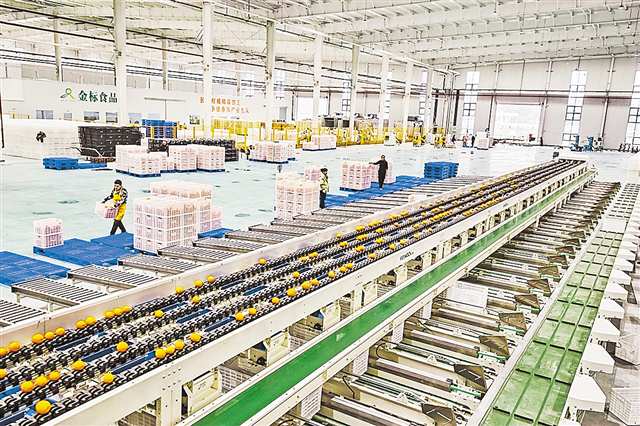 重慶農産品出口開年喜訊連連