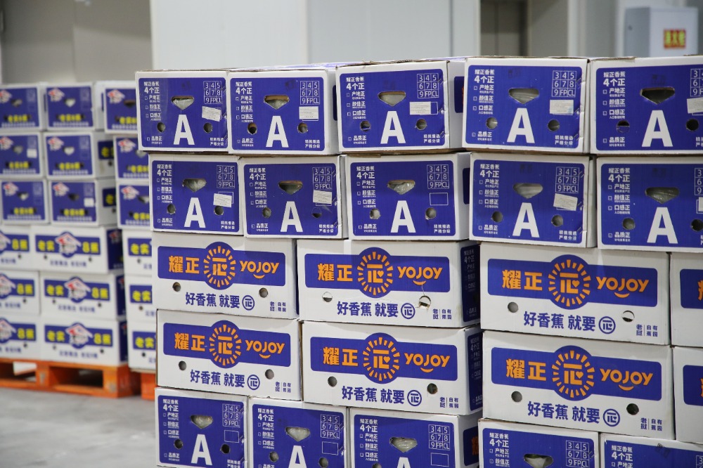 陸海新通道重慶無水港凍庫正式開倉