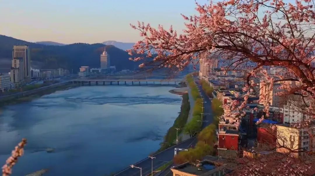 奔赴一場春日詩意之約——通化即將解鎖全域賞花新體驗