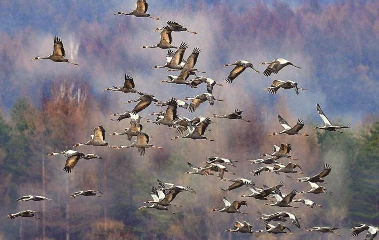 琿春：天地精靈入鏡來